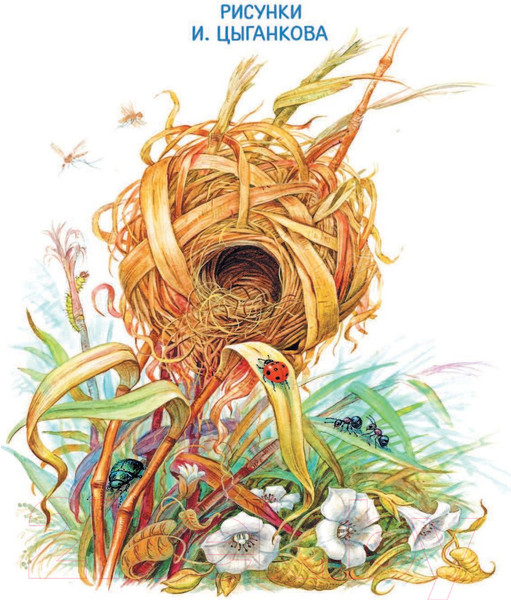 Изображение товара Книга АСТ Мышонок Пик и другие сказки (Бианки В.)