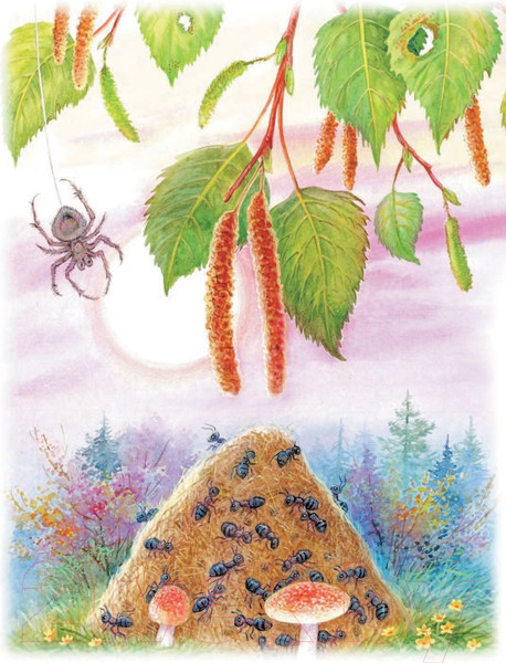 Изображение товара Книга АСТ Мышонок Пик и другие сказки (Бианки В.)