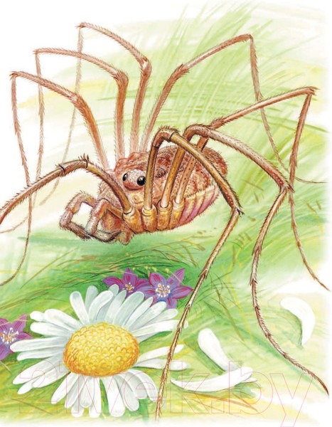 Изображение товара Книга АСТ Мышонок Пик и другие сказки (Бианки В.)