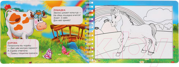 Изображение товара Раскраска Умка Домашние животные (Дружинина М.)