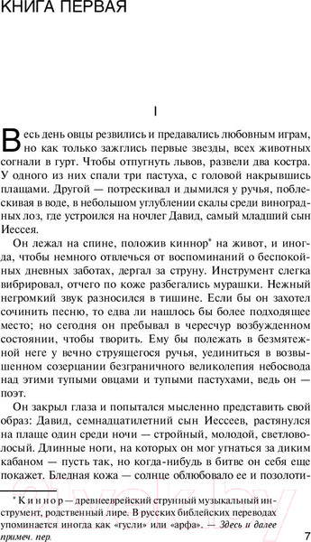Изображение товара Художественная книга АСТ Царь Давид (Шмитт Г.)