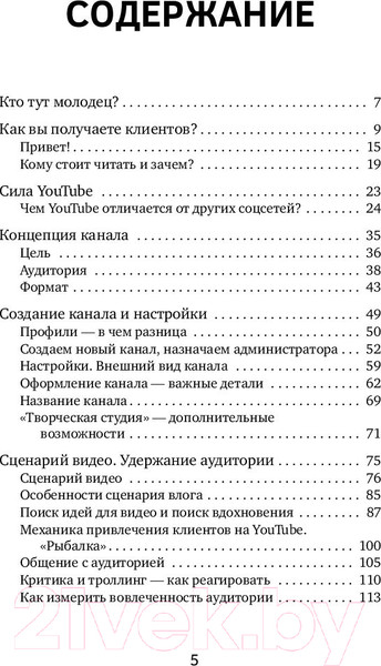 Изображение товара Книга АСТ ЮтубинаСила. YouTube для бизнеса. Как продавать товары (Шулепов А.)