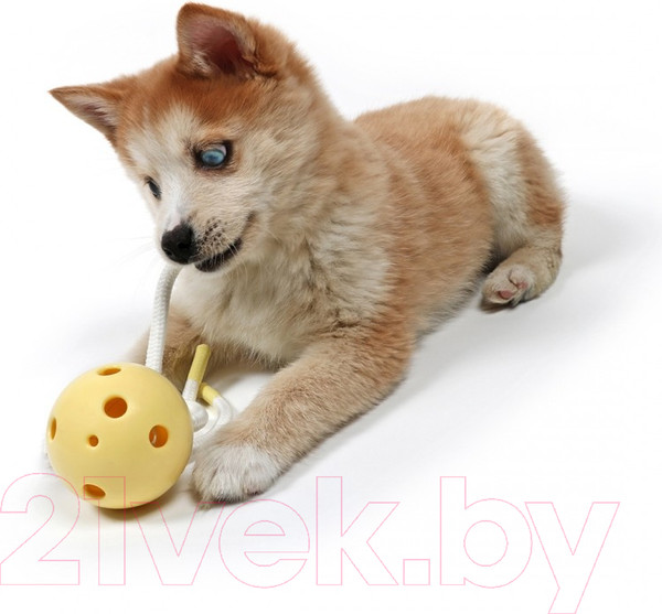 Изображение товара Игрушка для собак Petit Chew toy Milo / 309/449493 (желтый)