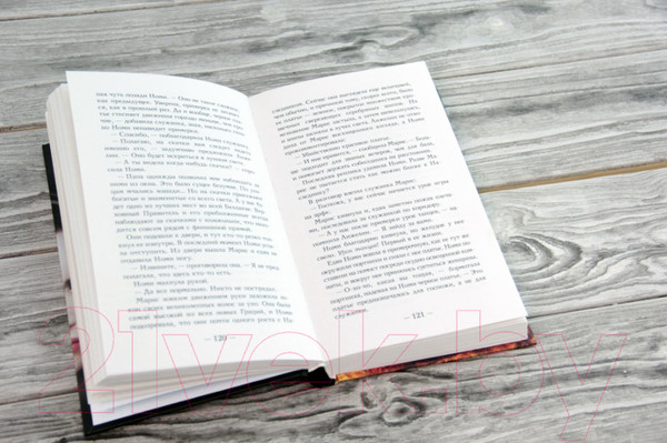 Изображение товара Книга АСТ Грация и Фурия (Бэнгхарт Т.)