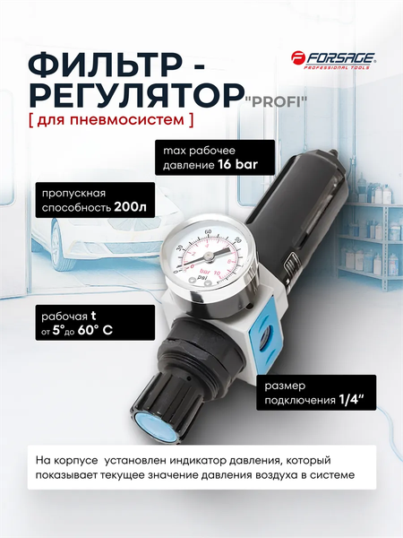 Изображение товара Фильтр для компрессора Forsage F-EW2000-02(47057)