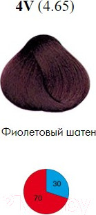 Изображение товара Крем-краска для волос Itely Aquarely 4V/4.65