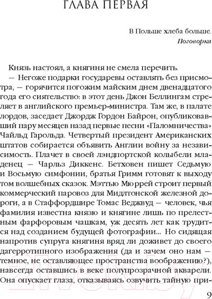 Изображение товара Книга Эксмо Сеть птицелова (Дезомбре Д.)