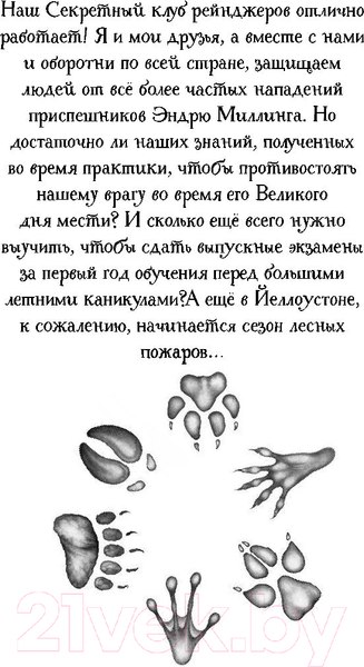 Изображение товара Книга Эксмо День огня (Брандис К.)