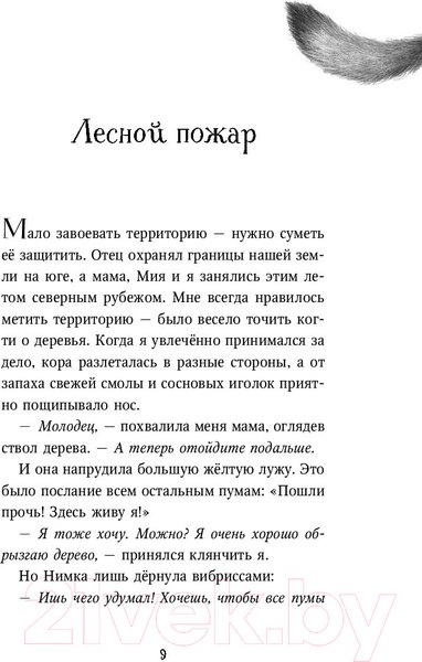Изображение товара Книга Эксмо День огня (Брандис К.)