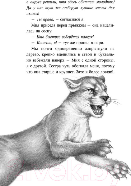 Изображение товара Книга Эксмо День огня (Брандис К.)