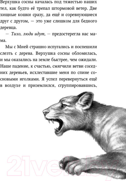 Изображение товара Книга Эксмо День огня (Брандис К.)