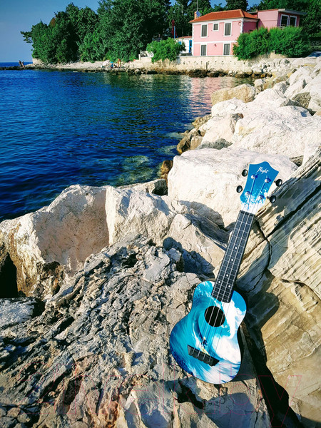 Изображение товара Укулеле Flight TUS 25SURF / DNT-59896