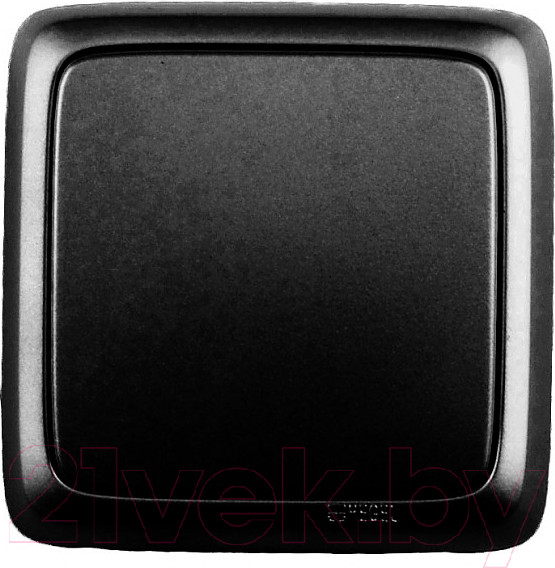 Изображение товара Выключатель Hegel ВА10-113-08 (черный)