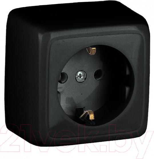 Изображение товара Розетка Hegel РА16-113-08 (черный)