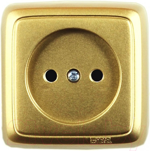 Изображение товара Розетка Hegel РА16-103-07 (золото)