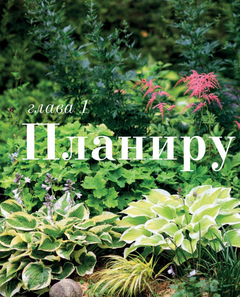 Изображение товара Книга Эксмо Все в сад! (Чадеева И.)