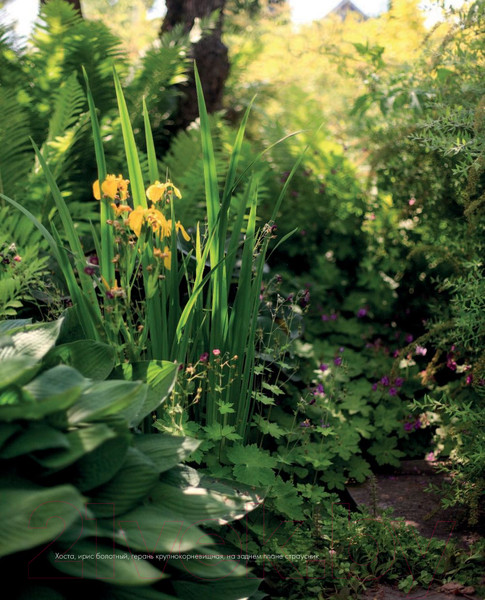 Изображение товара Книга Эксмо Все в сад! (Чадеева И.)