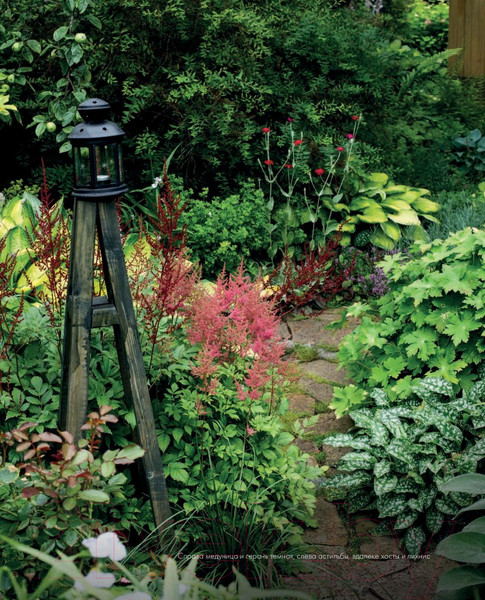 Изображение товара Книга Эксмо Все в сад! (Чадеева И.)