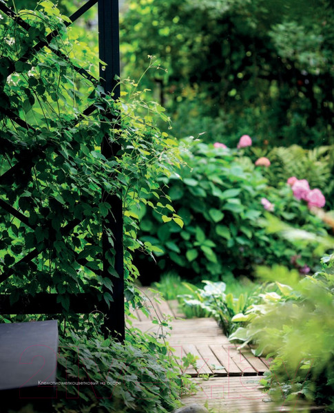 Изображение товара Книга Эксмо Все в сад! (Чадеева И.)