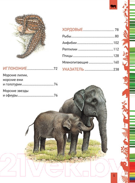 Изображение товара Энциклопедия Росмэн Животные