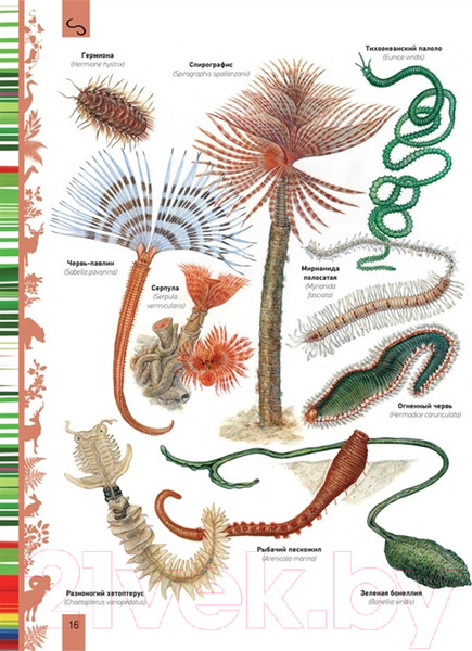 Изображение товара Энциклопедия Росмэн Животные