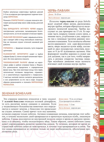 Изображение товара Энциклопедия Росмэн Животные