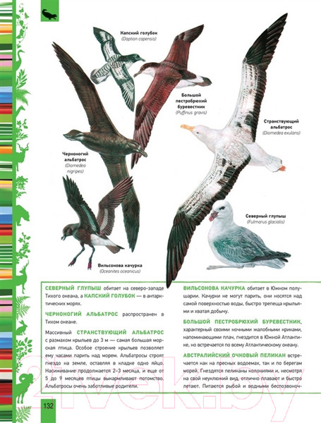 Изображение товара Энциклопедия Росмэн Животные