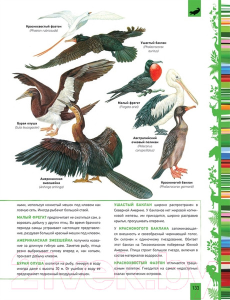 Изображение товара Энциклопедия Росмэн Животные