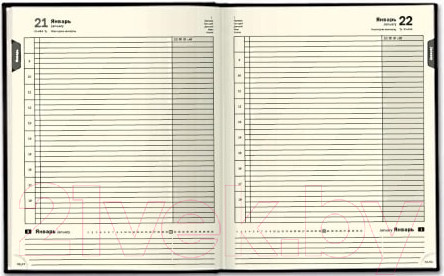 Изображение товара Ежедневник Brunnen Гранд де Люкс Патрициан 768 35-29 (красный)