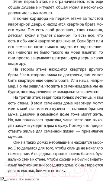 Изображение товара Книга АСТ Египет. Все тонкости (Алиева М.)