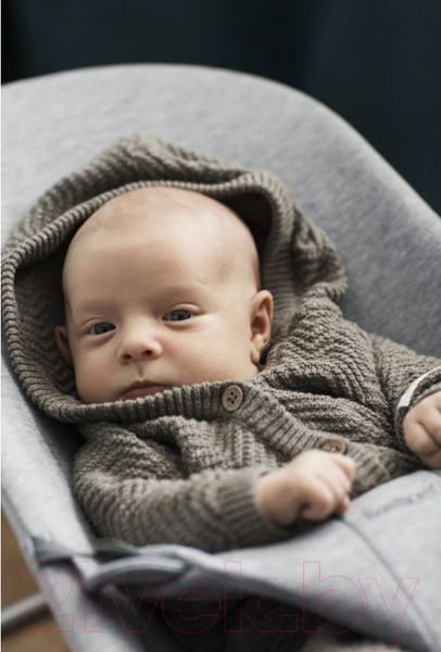 Изображение товара Детский шезлонг BabyBjorn Bliss 3D Jersey / 0060.72