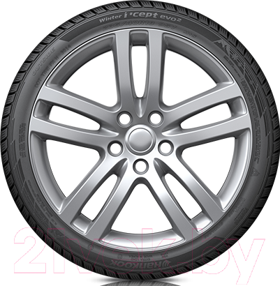 Изображение товара Зимняя шина Hankook Winter i*cept Evo2 W320 225/55R16 99V