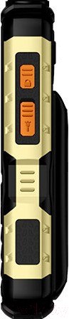 Изображение товара Мобильный телефон BQ Tank Power BQ-2430 (черный/золото)