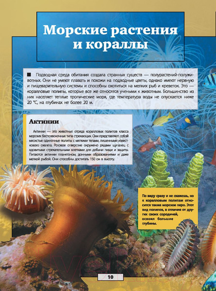 Изображение товара Энциклопедия АСТ Подводный мир (Кошевар Д., Лиско В., Никитенко И.)