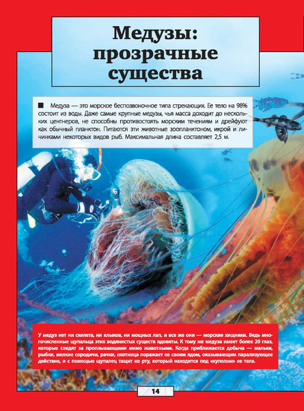 Изображение товара Энциклопедия АСТ Подводный мир (Кошевар Д., Лиско В., Никитенко И.)