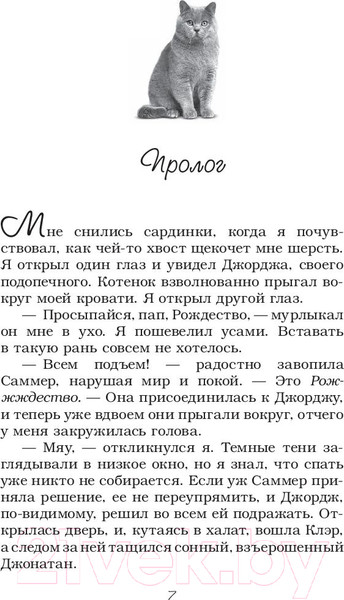 Изображение товара Книга АСТ Алфи на каникулах (Уэллс Р.)