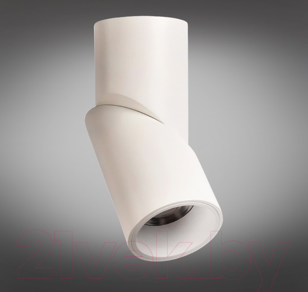 Изображение товара Спот Omnilux Arlate OML-101809-12