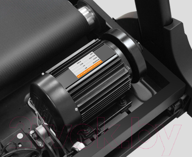 Изображение товара Электрическая беговая дорожка Svensson Body Labs Physioline TBX TOUCH