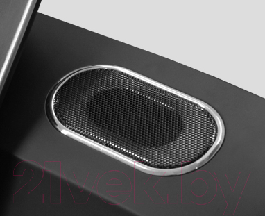 Изображение товара Электрическая беговая дорожка Svensson Body Labs Physioline TBX TOUCH