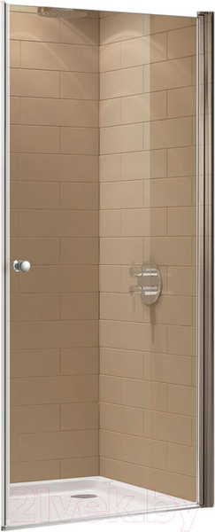 Изображение товара Душевая дверь Cezares ECO-O-B-1-65-C-Cr