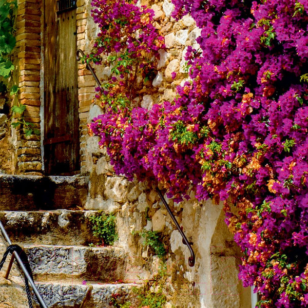 Изображение товара Фотообои листовые Citydecor Сен-поль (200x254)