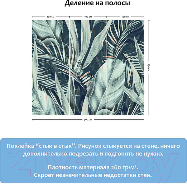 Изображение товара Фотообои листовые Citydecor Тропические цветы (300x254)