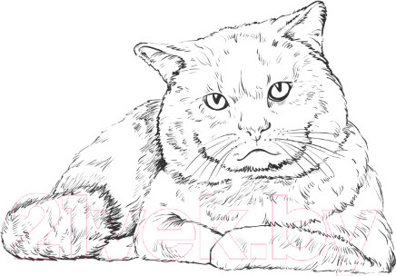 Изображение товара Выжигатель по дереву Десятое королевство Узор-10к / 01817