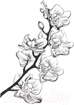 Изображение товара Выжигатель по дереву Десятое королевство Узор-10к / 01817