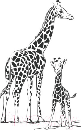 Изображение товара Выжигатель по дереву Десятое королевство Узор-10к / 01817