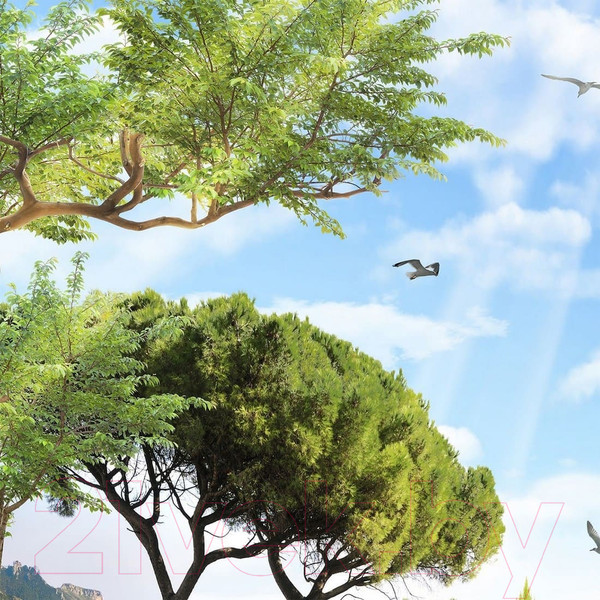 Изображение товара Фотообои листовые Citydecor Морской пейзаж (300x254)