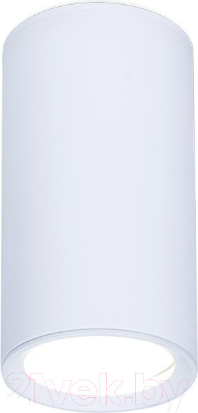 Изображение товара Точечный светильник Ambrella GU5.3 TN218 WH/S