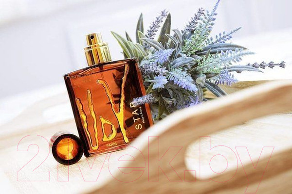 Изображение товара Туалетная вода Ulric de Varens Udv Star (100мл)