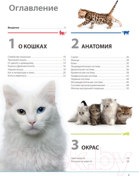 Изображение товара Энциклопедия Эксмо Кошки. Самая полная иллюстрированная энциклопедия (Дудникова С. и др)