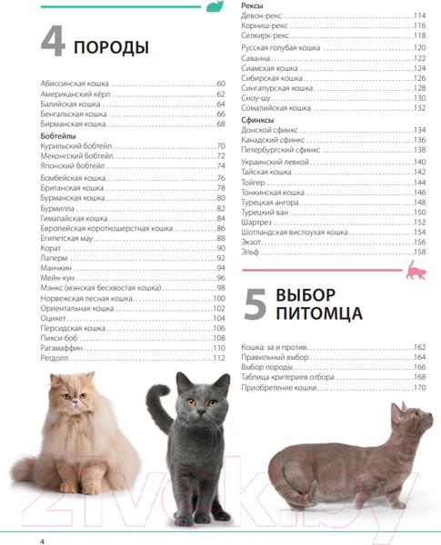 Изображение товара Энциклопедия Эксмо Кошки. Самая полная иллюстрированная энциклопедия (Дудникова С. и др)